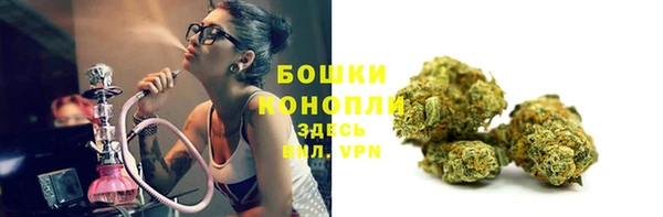 spice Горняк