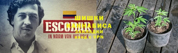 соль курить ск Горно-Алтайск