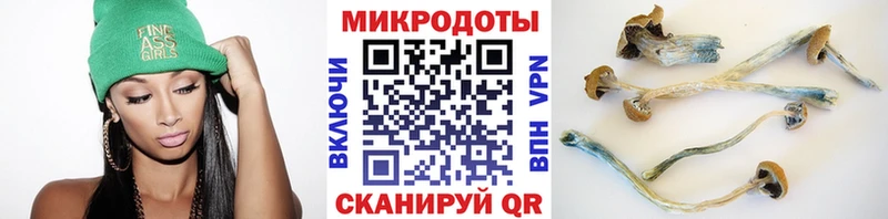 Галлюциногенные грибы Magic Shrooms Заречный