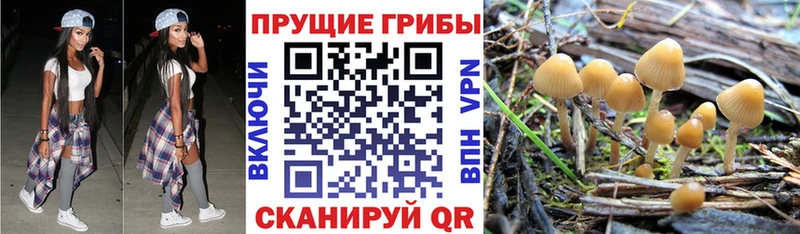 Галлюциногенные грибы ЛСД  Заречный 