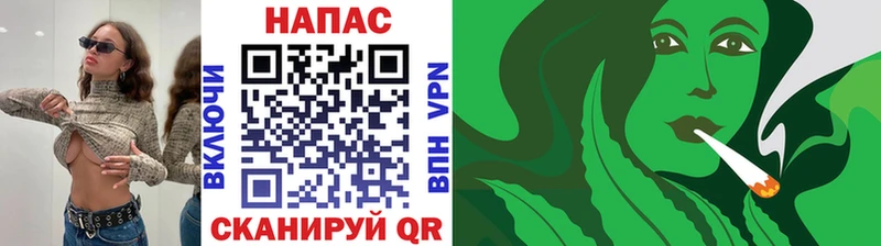Бошки марихуана ГИДРОПОН даркнет сайт Заречный